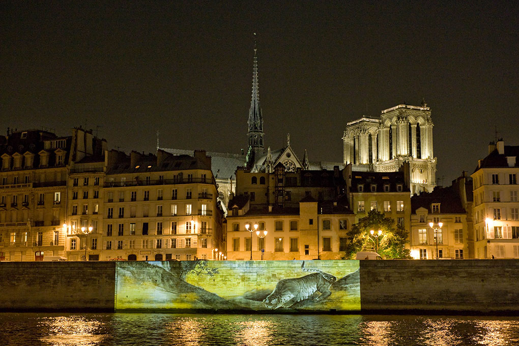 Project Commemorating 150th Anniversary of Japan-France Friendship La Seine - Light Messages from Japan, Paris, France